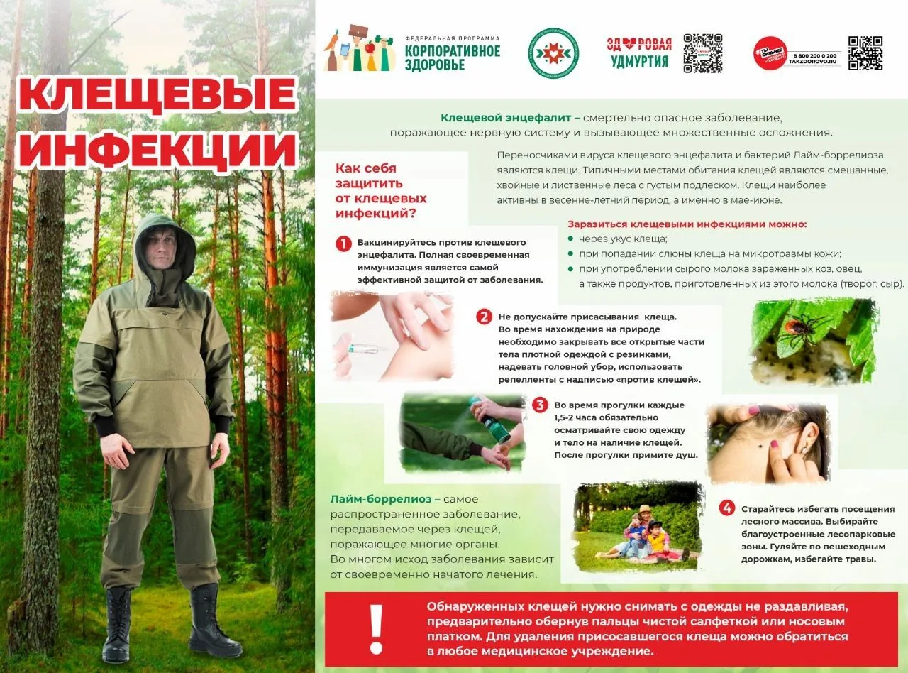 Вакцинация от клещевого энцефалита — ключевая мера профилактики опасного заболевания, которое может 