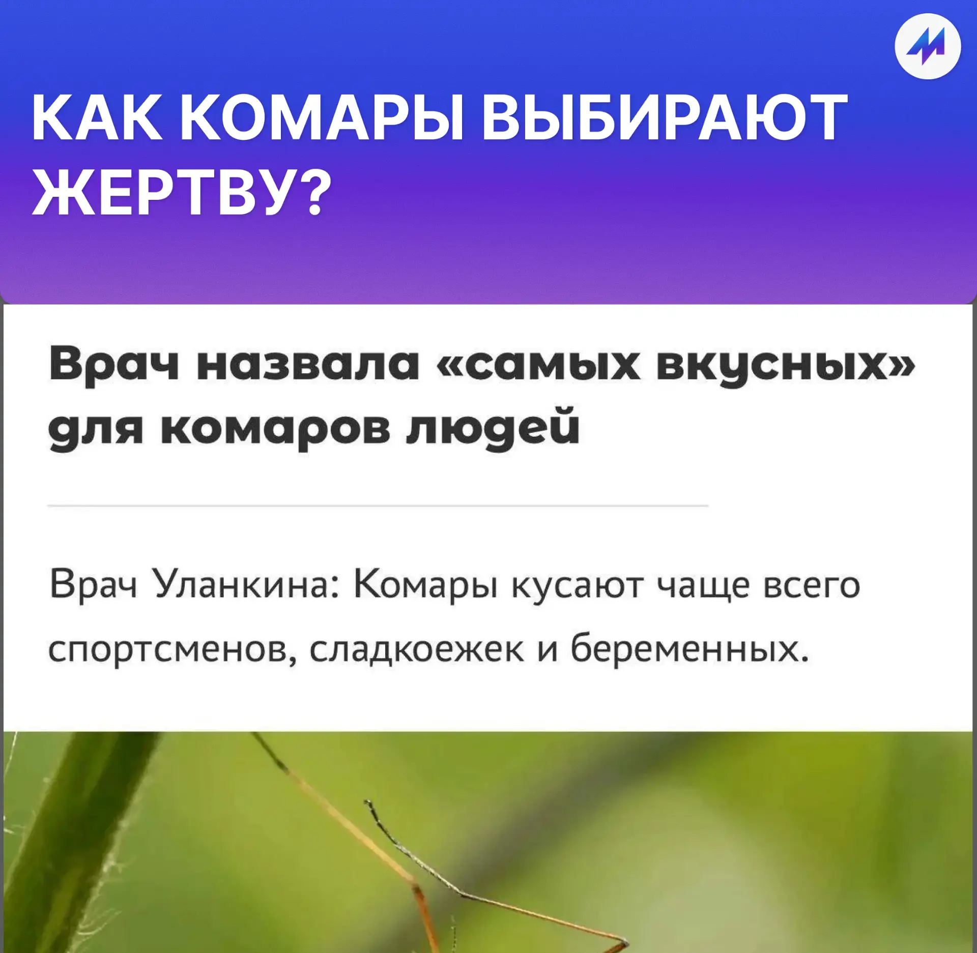 🦟Сладкоежки признаны ходячей мишенью для комаров — предупреждают врачи.

Также комары особенно «люб