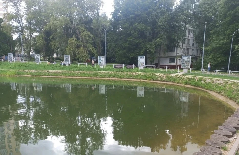 Оперативный ответ по Медовому пруду - уровень воды там в норме)

Так что черепашки могут спокойно за