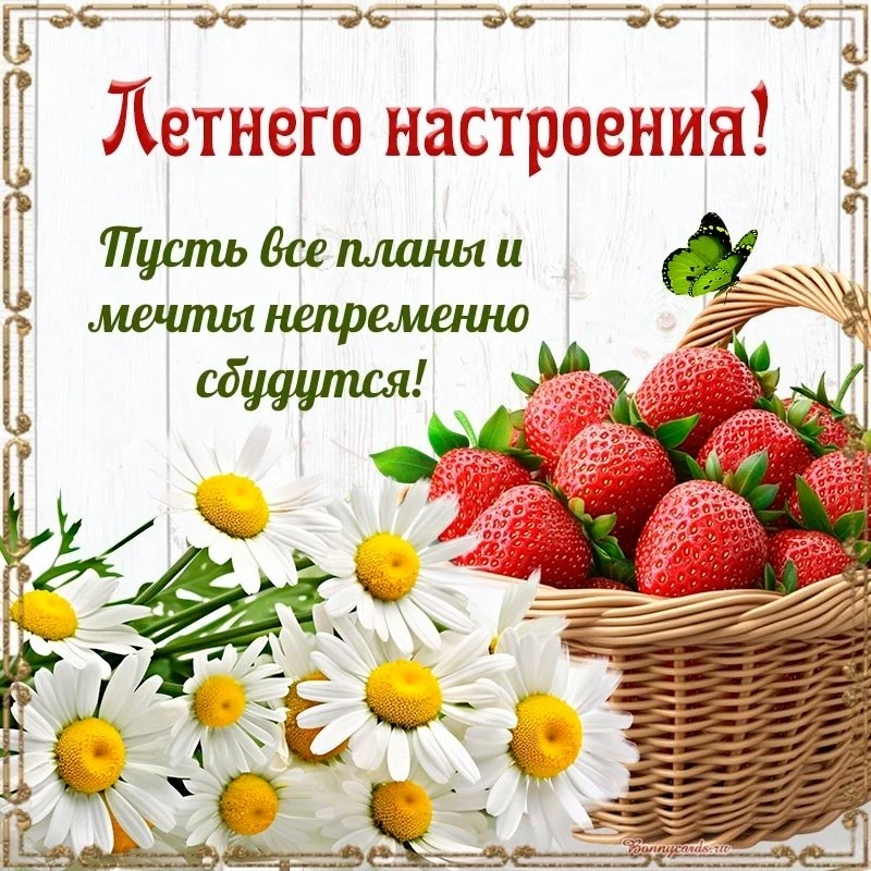 ✨ #настроение

Красивые открытки 💌
⠀в Max | в Теlegram