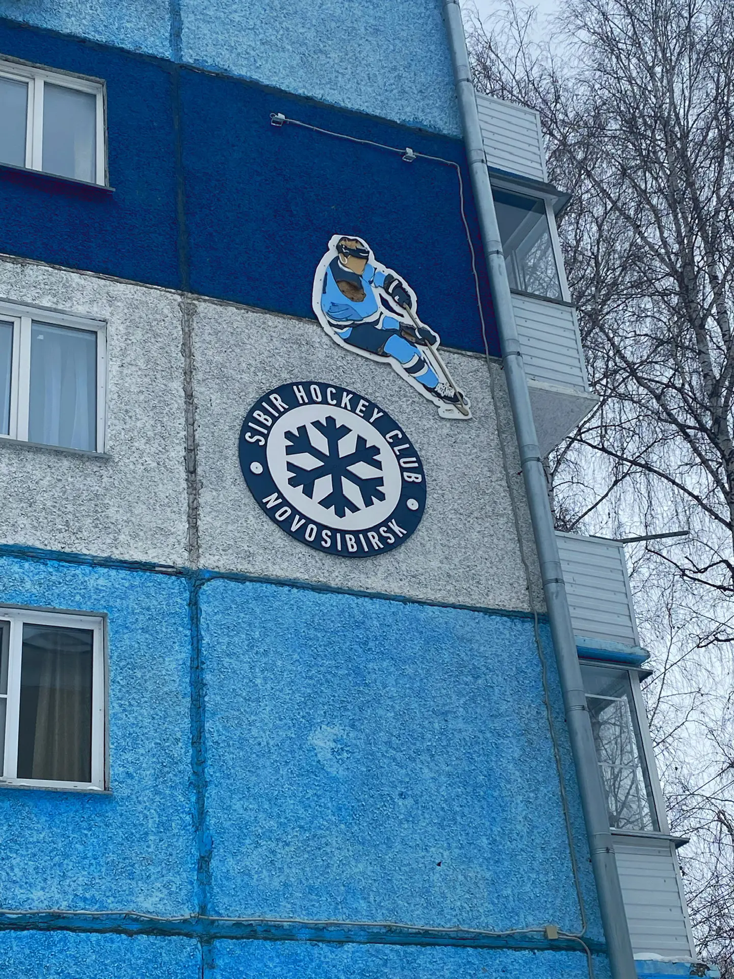 В Академгородке есть обычная пятиэтажка, которая стала единственной в своём роде. Здесь вместо подъе