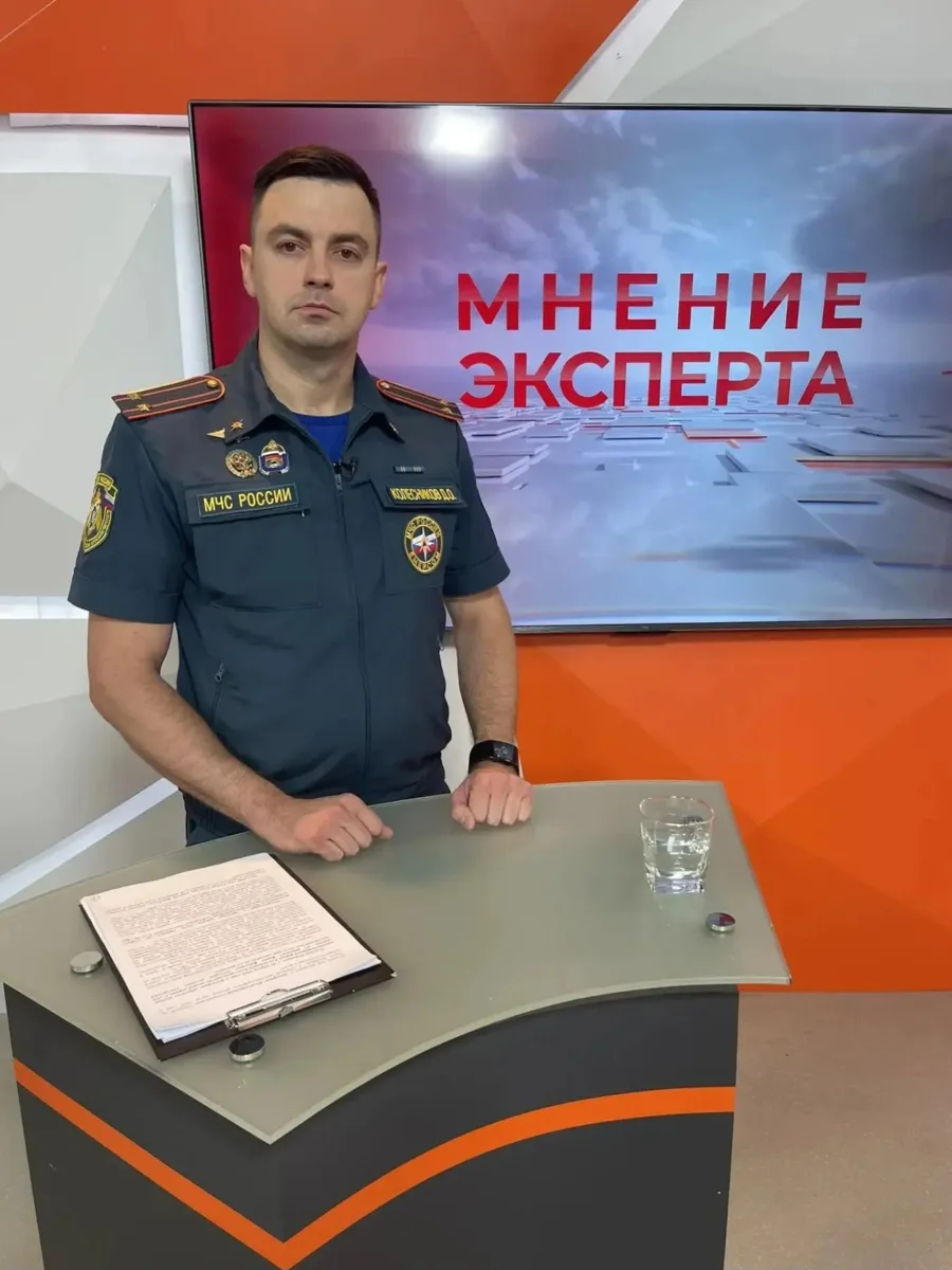 Где пожарить шашлык и почему нельзя заезжать в лес? Какая статистика возгораний тревожит спасателей 