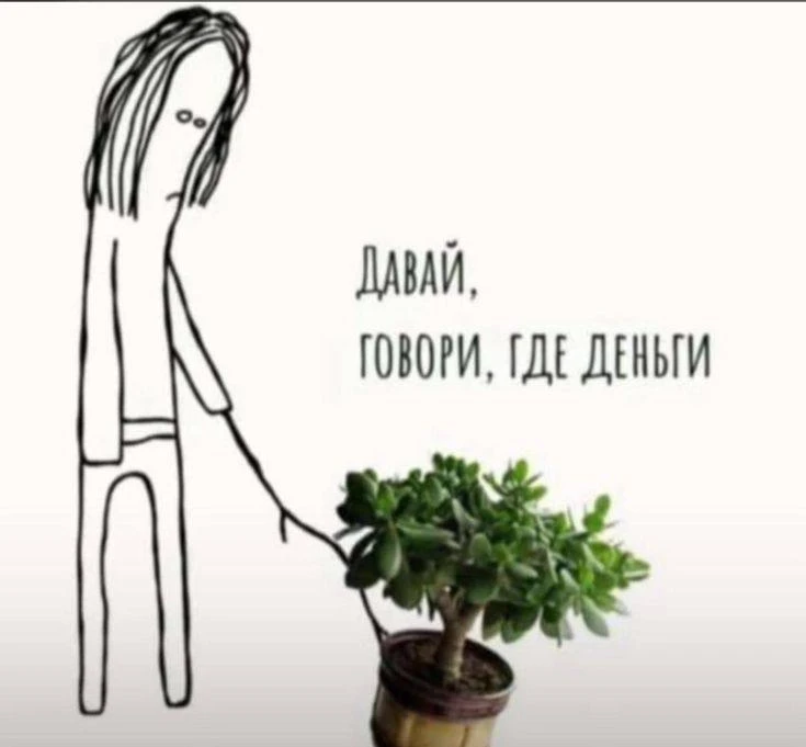 Сегодня сдавали финансовую модель для розничной сети.

Собственник давно догадывался: две точки рабо