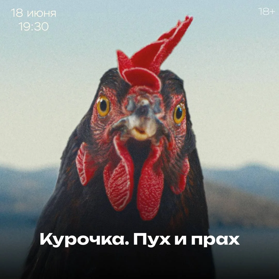 🎥 Свет, камера... вдохновение! Юбилейный фестиваль авторского кино КАРО/АРТ зажигает огни в Галерее