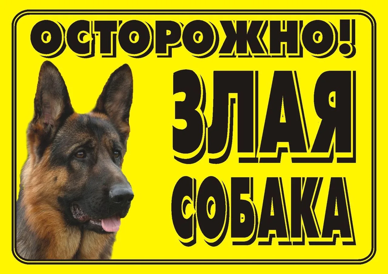 Памятка для детей «Осторожно: злая собака!»
 Никогда не подходи к незнакомой собаке, даже если она к