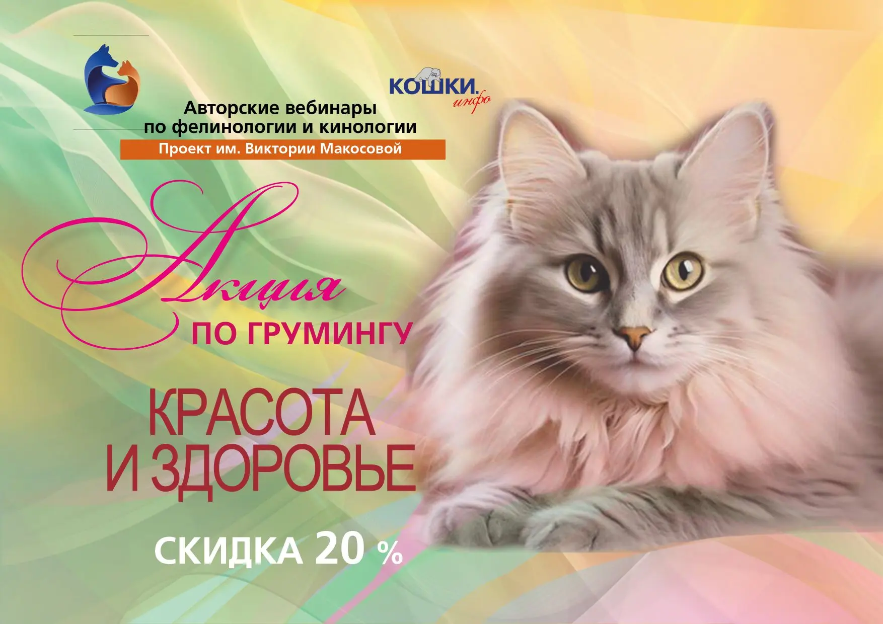 🚨Остался один день! Завершаем акцию
по грумингу «Красота и здоровье»!
 
Учимся правильному грамотно