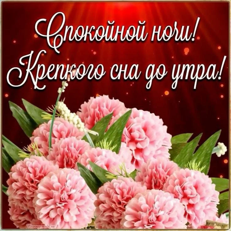 ❤️🌸🌿❤️🌸🌿❤️🌸🌿 

Спокойной и благословенной ночи тебе! Пусть заботы и тревоги ушедшего дня не тр