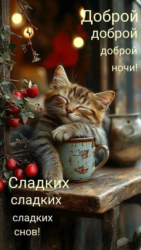Лучик счастья