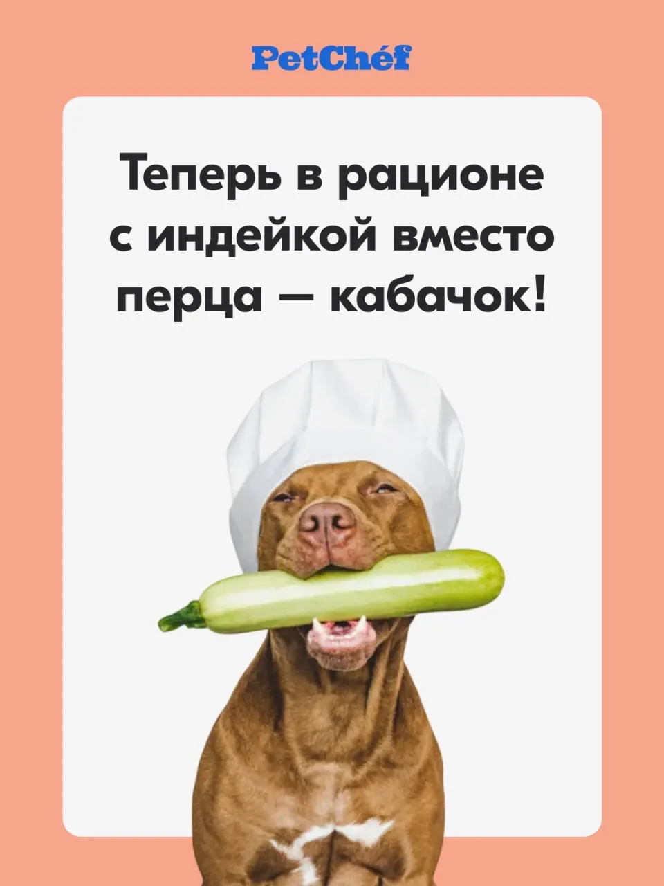 Мы перешли с красного перца на кабачок! ☺️

По многочисленным просьбам, теперь в рационе с индейкой 