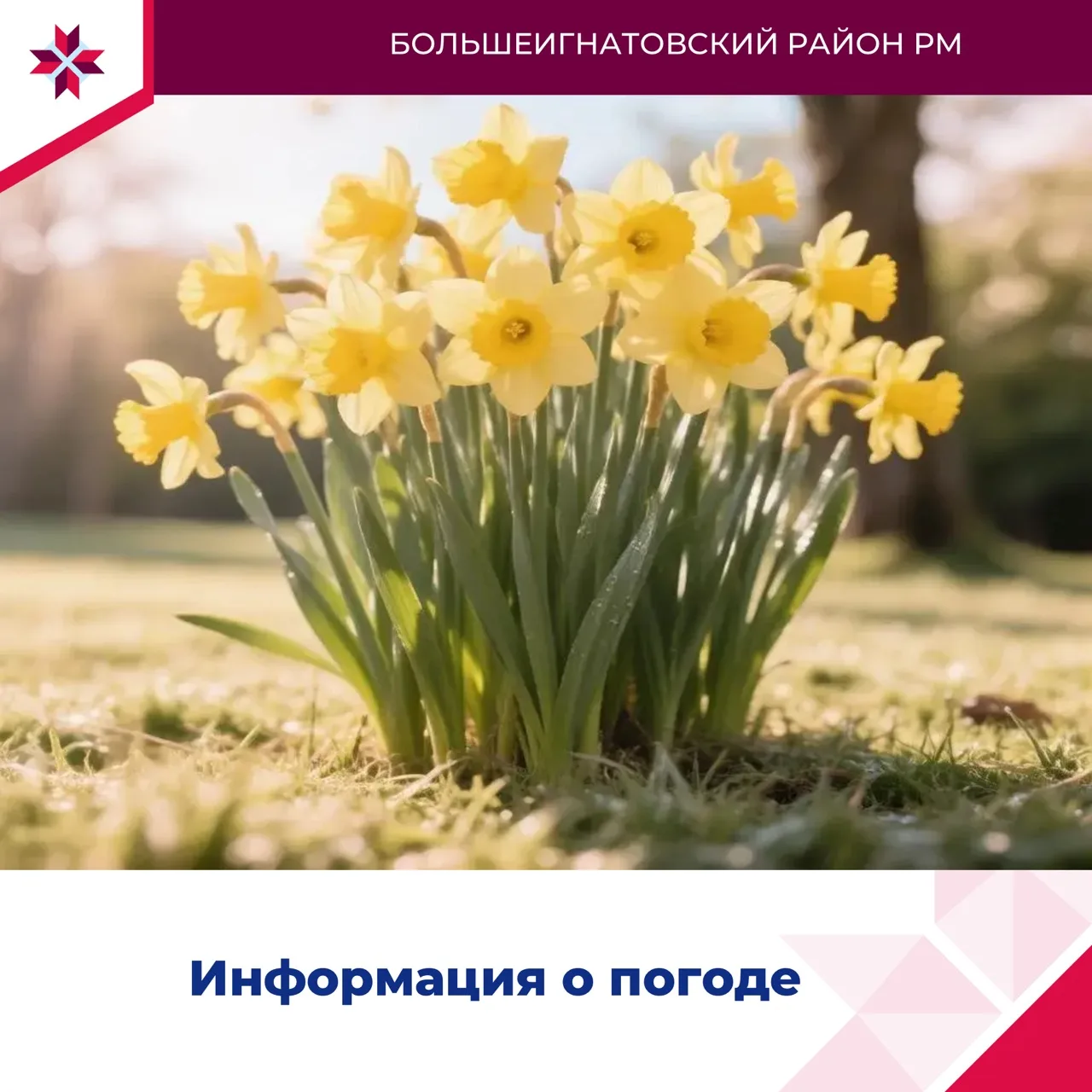 ☀️Информация о погодных условиях в Республике Мордовия. 

20 мая: небольшая облачность, без осадков.