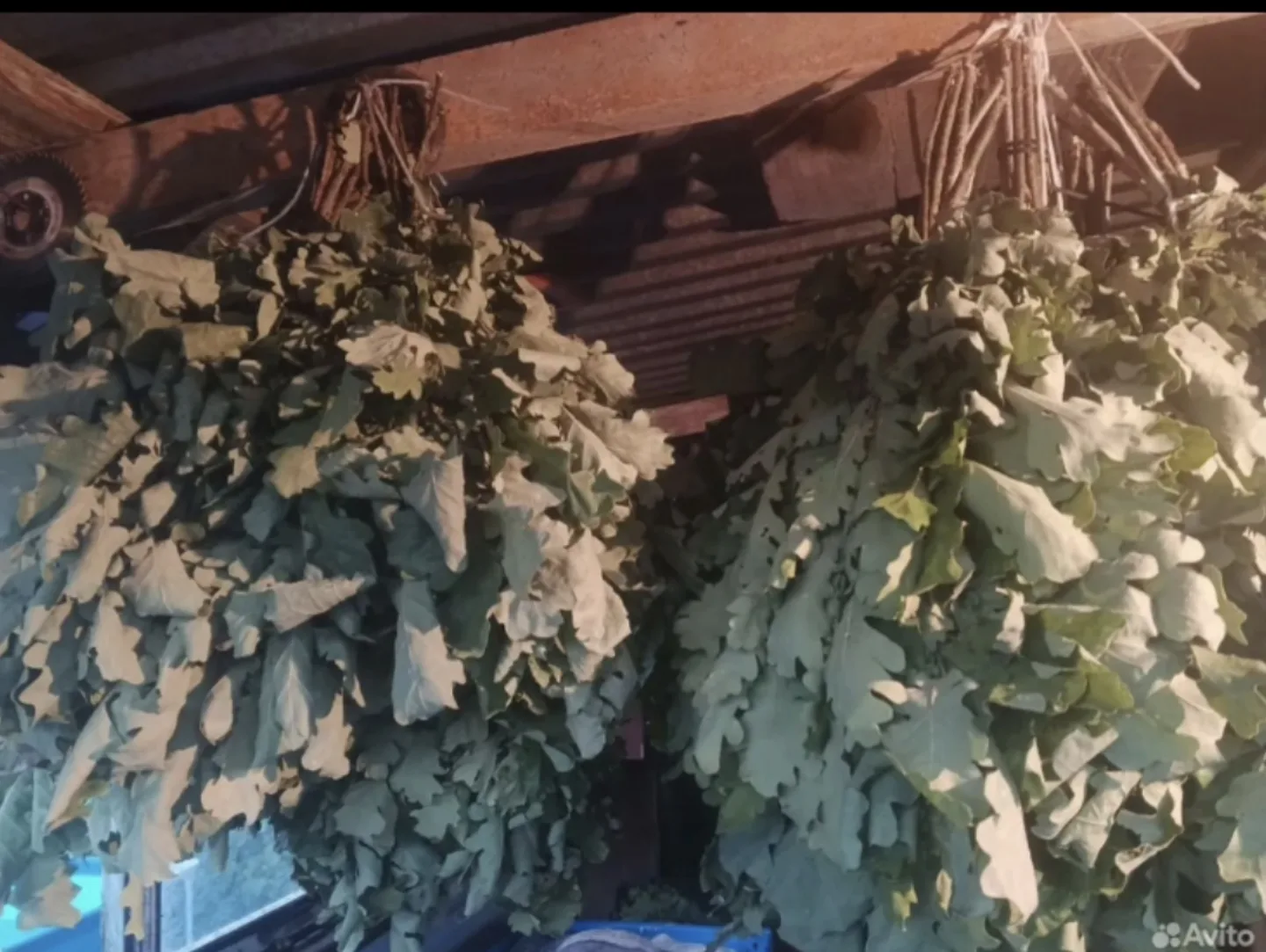 Веники 🌿 для бани: дуб-300₽ 🌳 береза -150₽🌳
89272657705 - Евгений