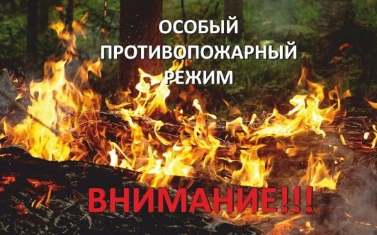 ❗Уважаемые жители! 
Напоминаем вам, что в настоящее время на территории Ростовской области действует