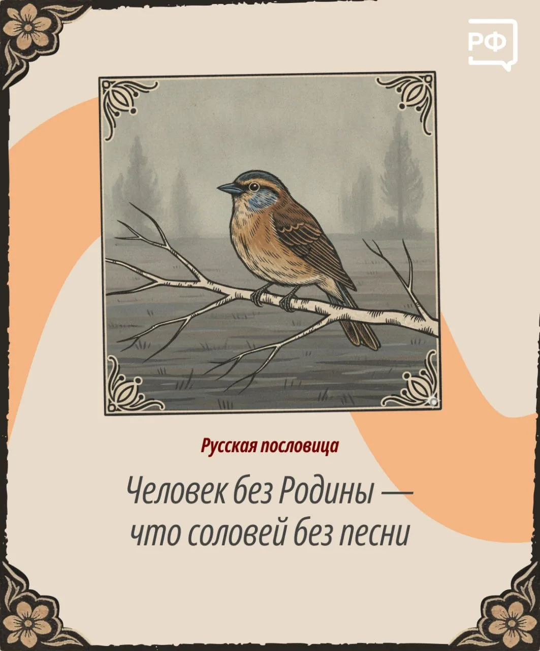 Как «звучит» Родина» на разных языках?  

Поздравляем с Днём России! Этот год — особенный: 2026-й об