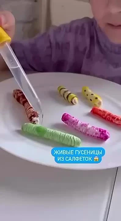 В ГБДОУ "Детский сад №308 г.о.Донецк" ДНР (заведующий Рослякова М.П.) воспитатель Малич А.П. рекомен