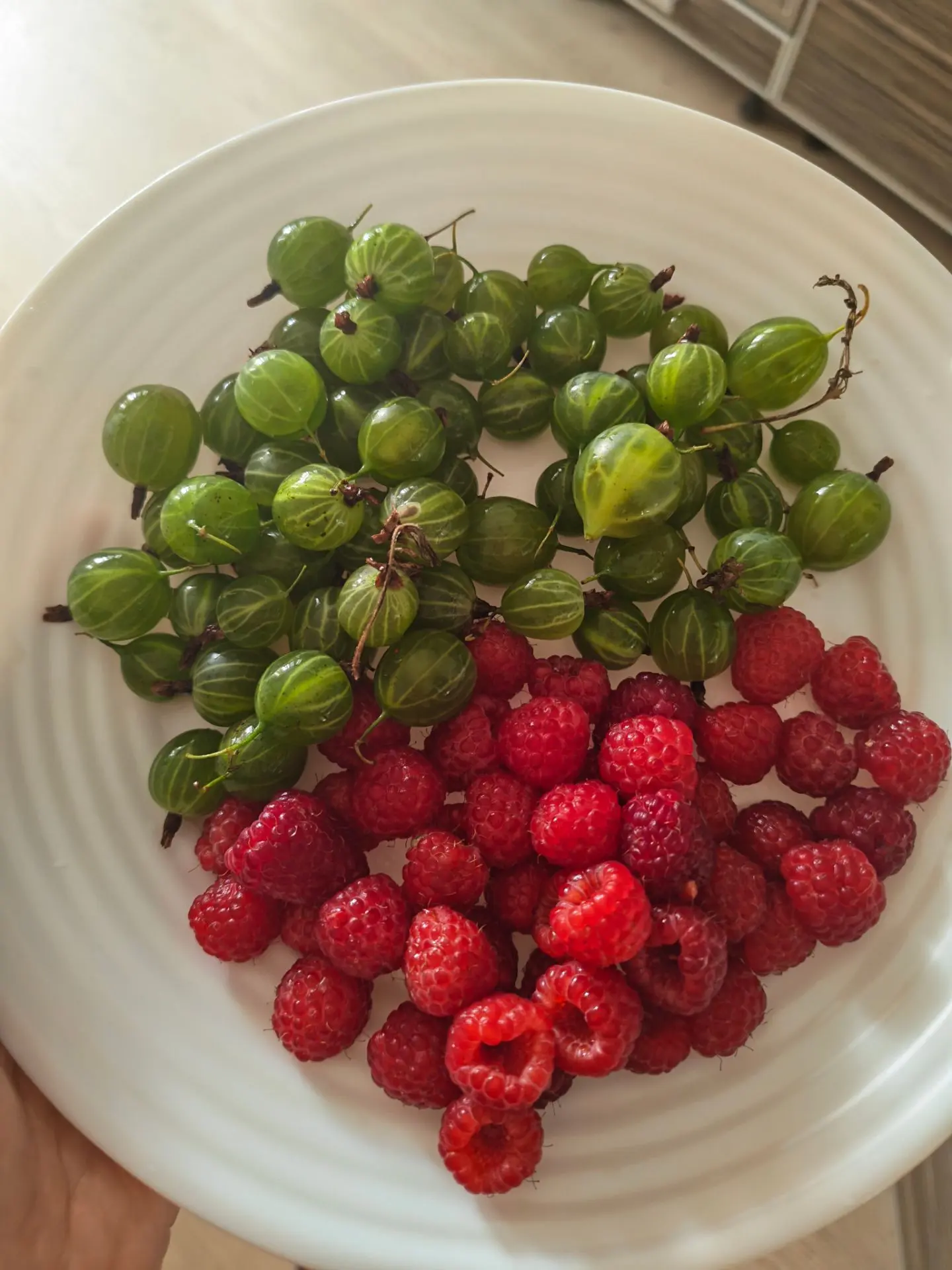 БАДы, которые я принимаю 😋


🍓 Малина: защитник иммунитета

Это природный жаропонижающий и противо