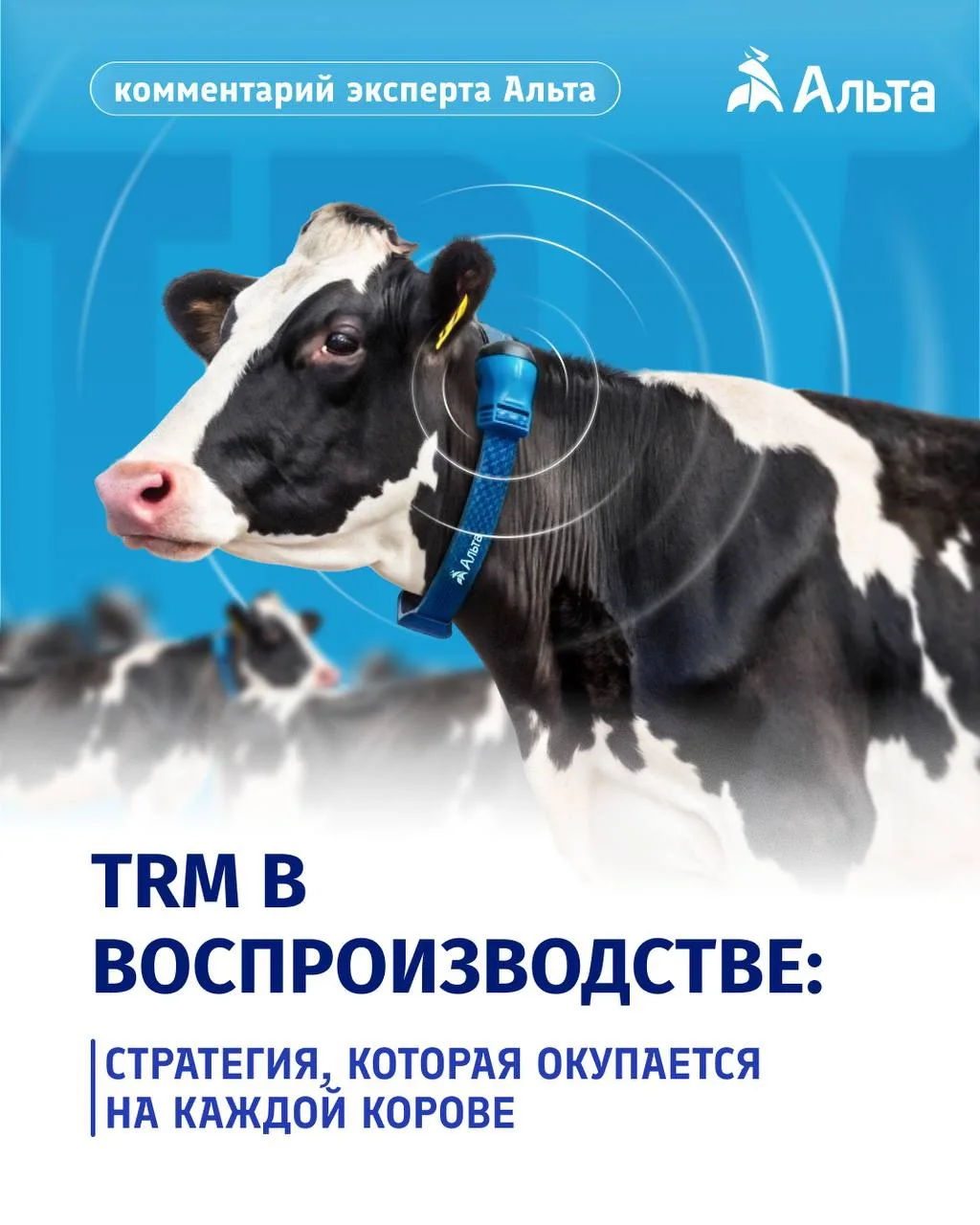 🐂 Воспроизводство напрямую влияет на экономику молочной фермы

Чем точнее хозяйство управляет осеме
