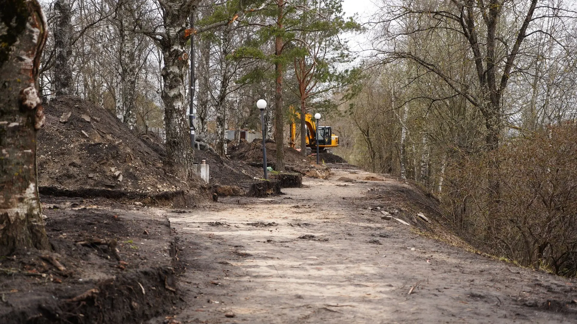 При разработке концепций общественных пространств Вологды зелёные насаждения проходят обязательную о