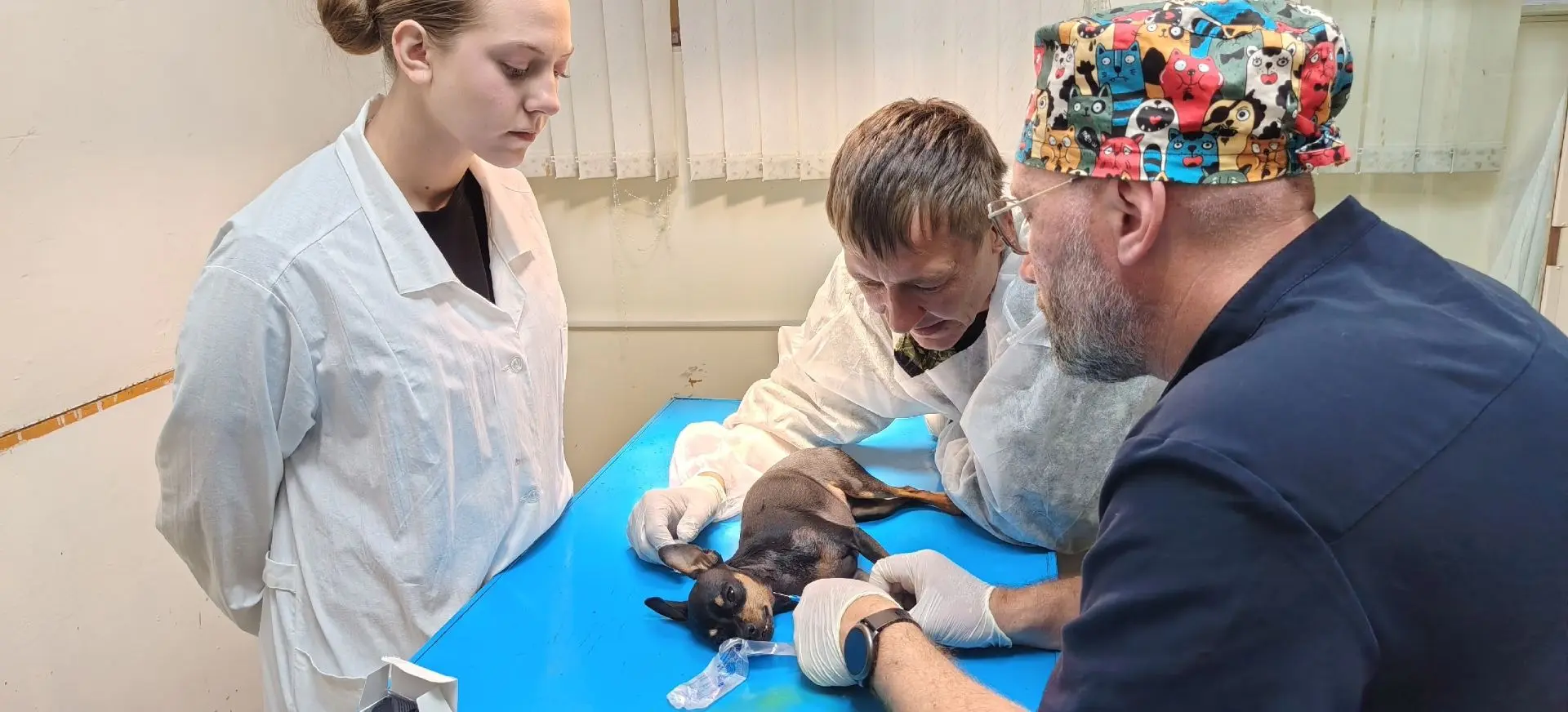 10.06.2026 г. в ОГУ «Ртищевская районная станция по борьбе с болезнями животных» обратился владелец 