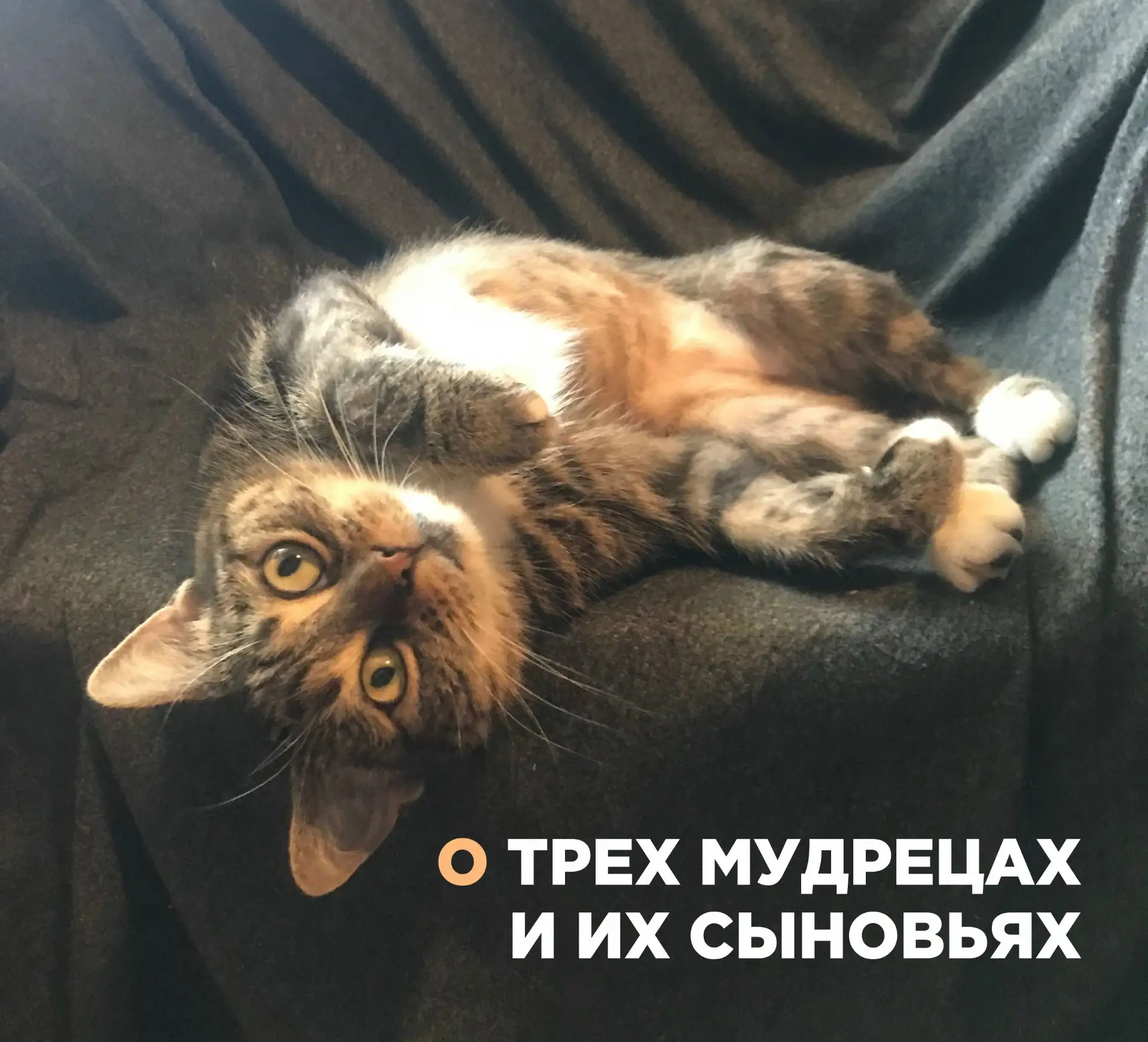 Встретились три мудреца. Один говорит:
— Вся наша жизнь — игра, в которую играют и боги, и люди; кто