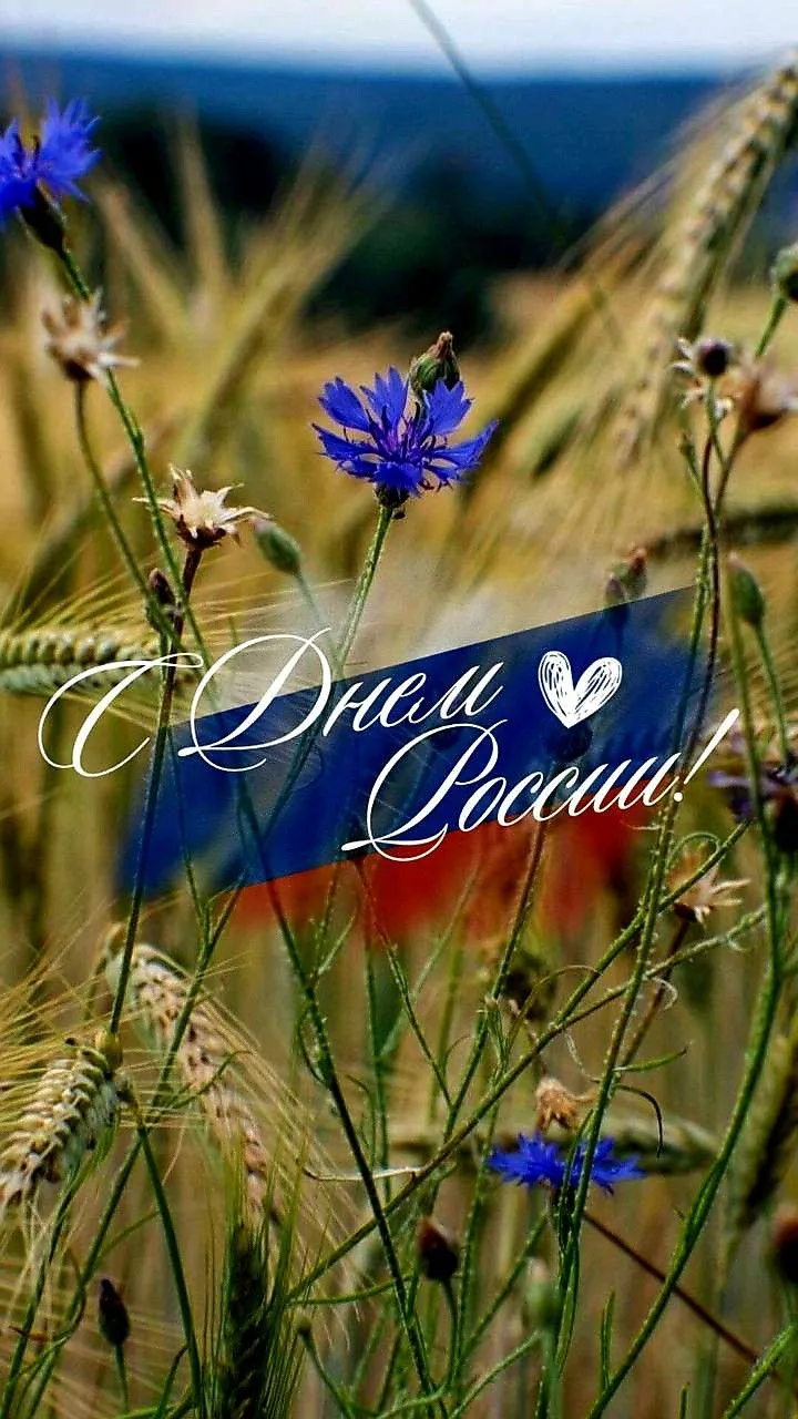 12 июня — 🇷🇺День России
🌞Сегодня, 12 июня, мы отмечаем один из самых значимых государственных пра