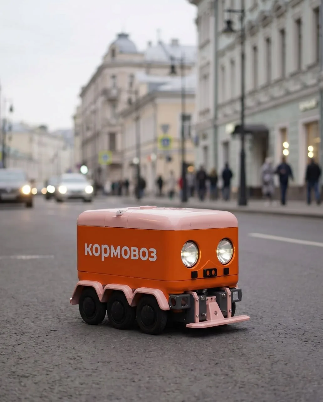 На улицах были замечены кормовозы, чтобы ни один питомец не остался голодным