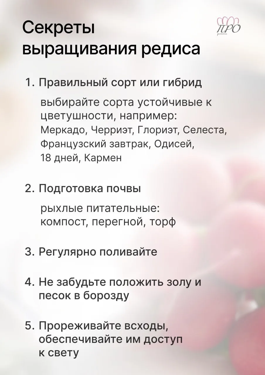 ⁉️ Ну как там ваш редис в этом году?! 

👩‍🌾Кто ходит ко мне на занятия, тот знает, что с редиской 