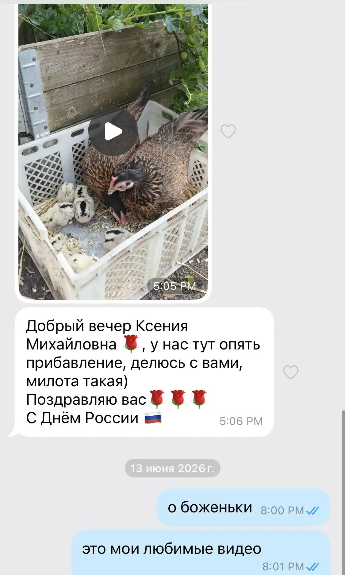 Мои любимые видео от пациентов. 

Людмила, балует меня ☝🏼то утиными, то гусиными, то куриными яичка