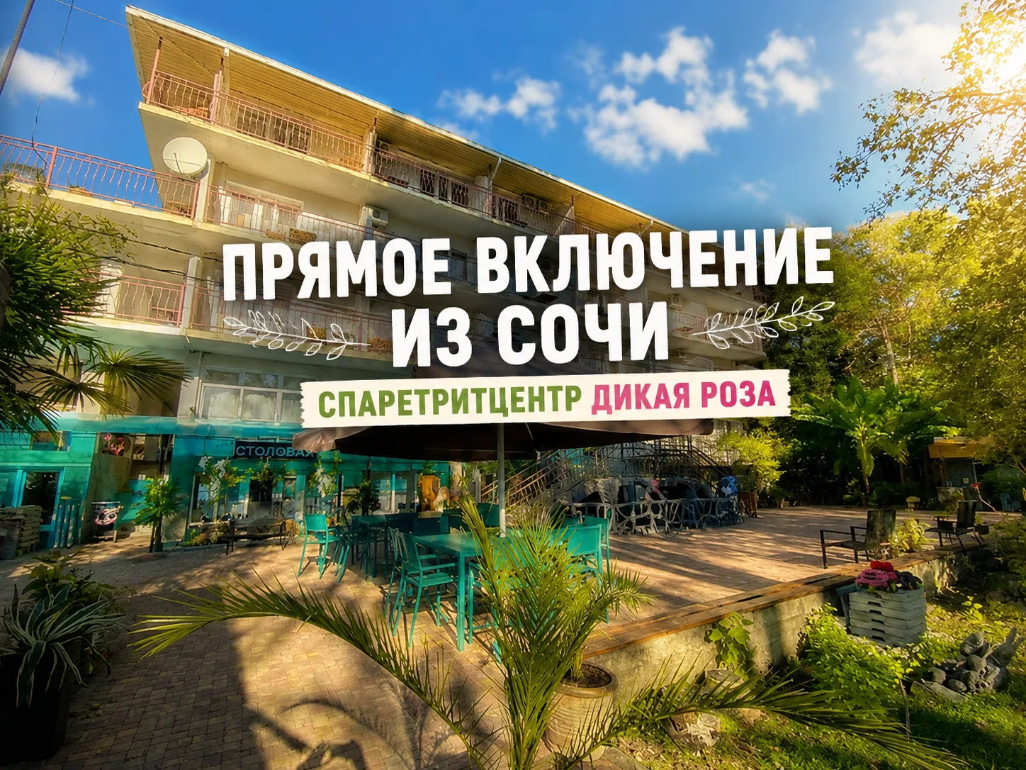 📢 Прямое включение из Сочи! https://vk.com/wall-203816934_26558

На связи Спа РетритЦентр «Дикая Ро
