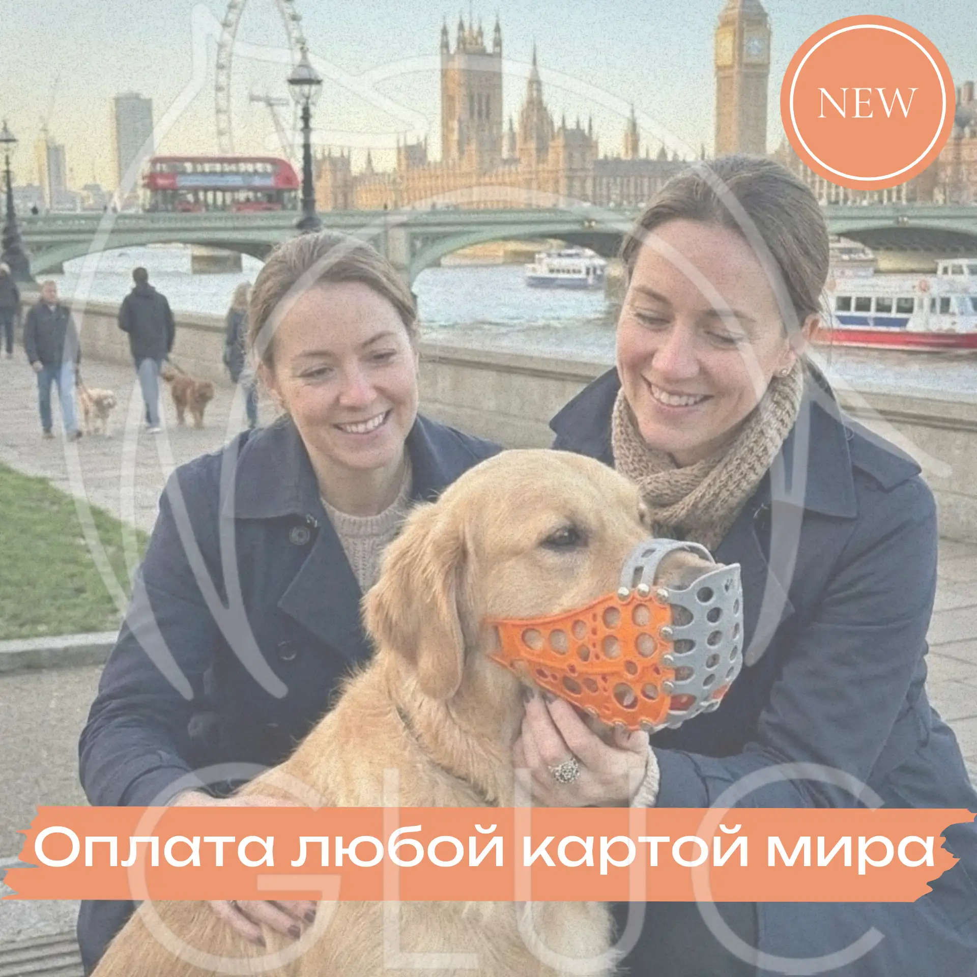 Отличная новость для наших клиентов за пределами России! 🎉

Теперь мы принимаем оплату с зарубежных
