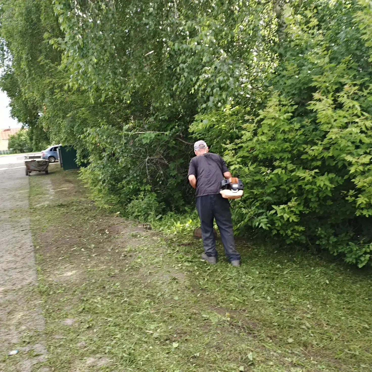 📌Продолжается покос сорной растительности.
На территории МДОУ "Октябрьский детский сад"  продолжает