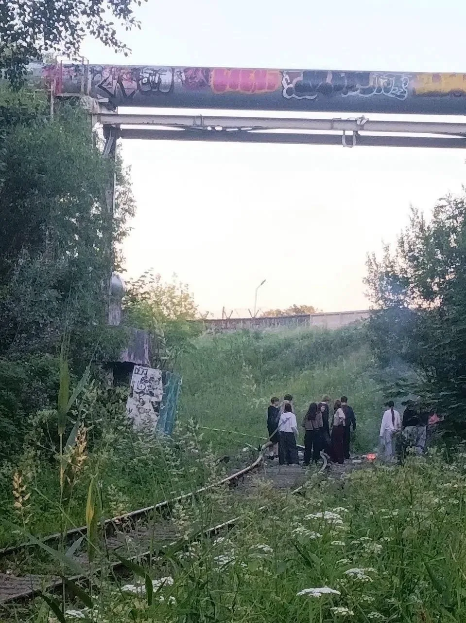 Несовершеннолетние подожгли самокат около тарзанки рядом с Солнечным Городом

На месте работала пожа