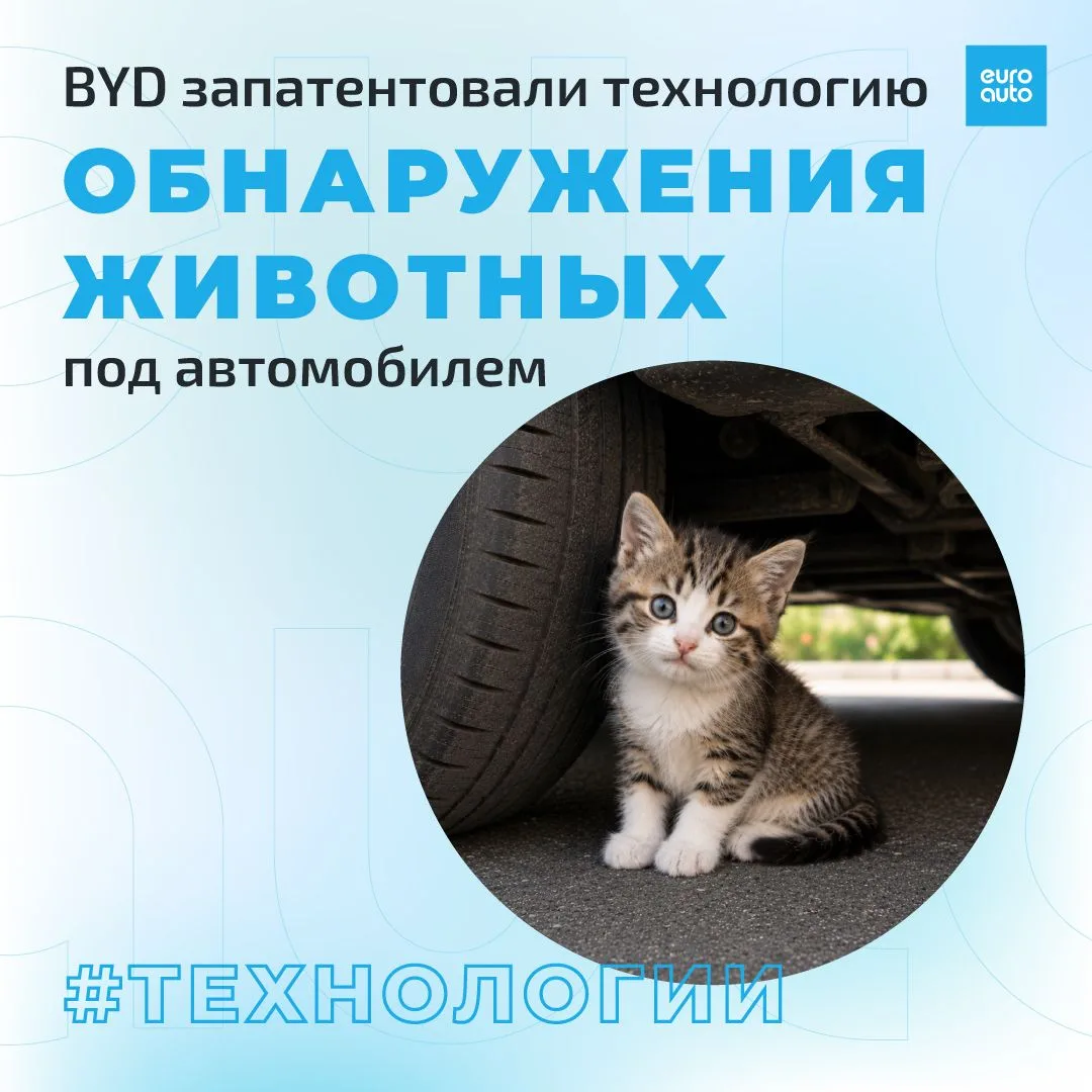 Китайский автопроизводитель BYD запатентовал систему, способную обнаруживать животных под автомобиле