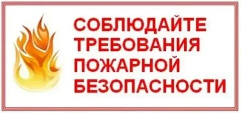 Лето – это долгожданная пора отпусков,  отдыха и работы на приусадебных участках. 
Однако, вместе с 