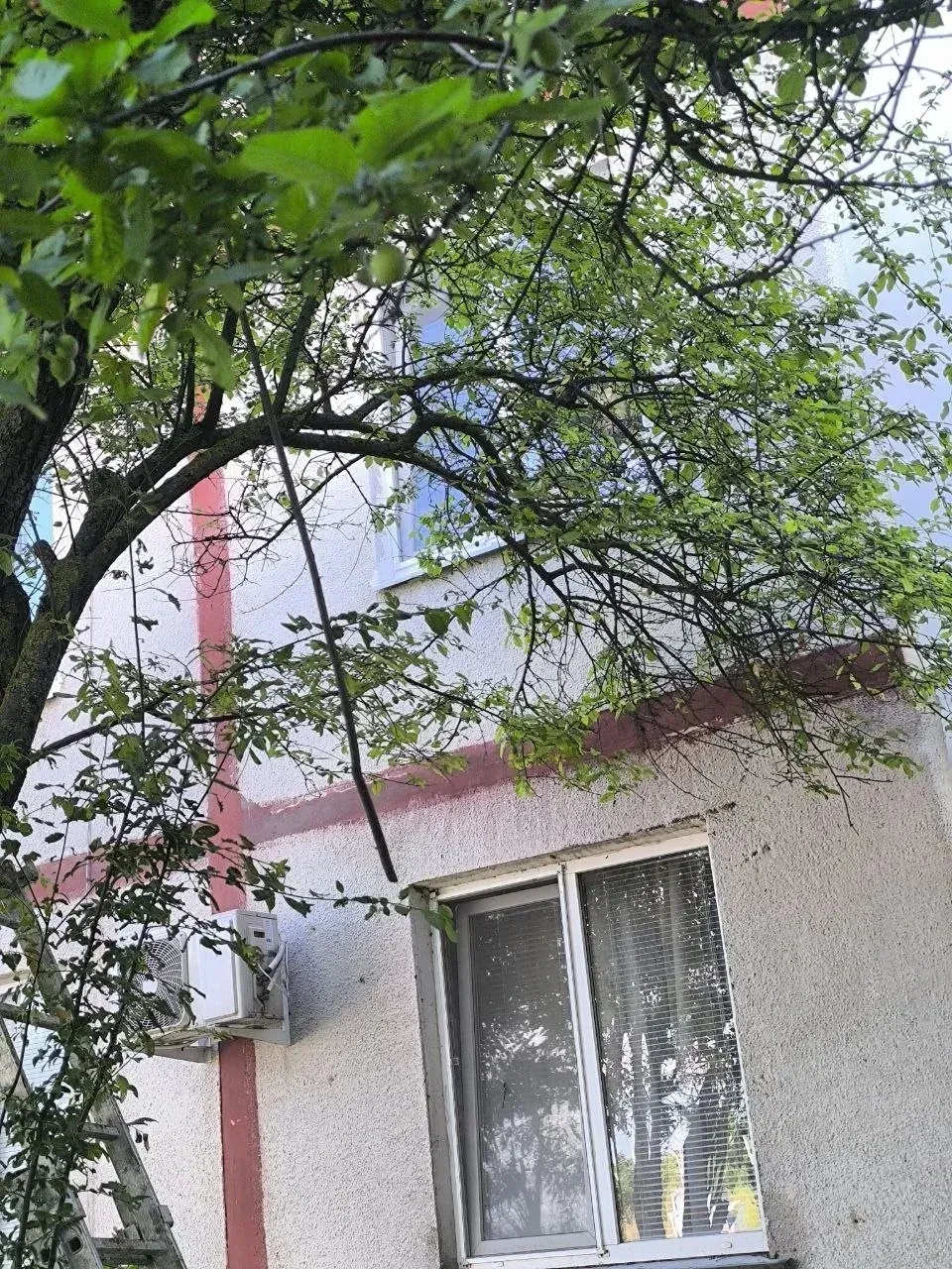 ✅️Сегодня мы начали масштабные работы по удалению и обработке аварийных деревьев для обеспечения без