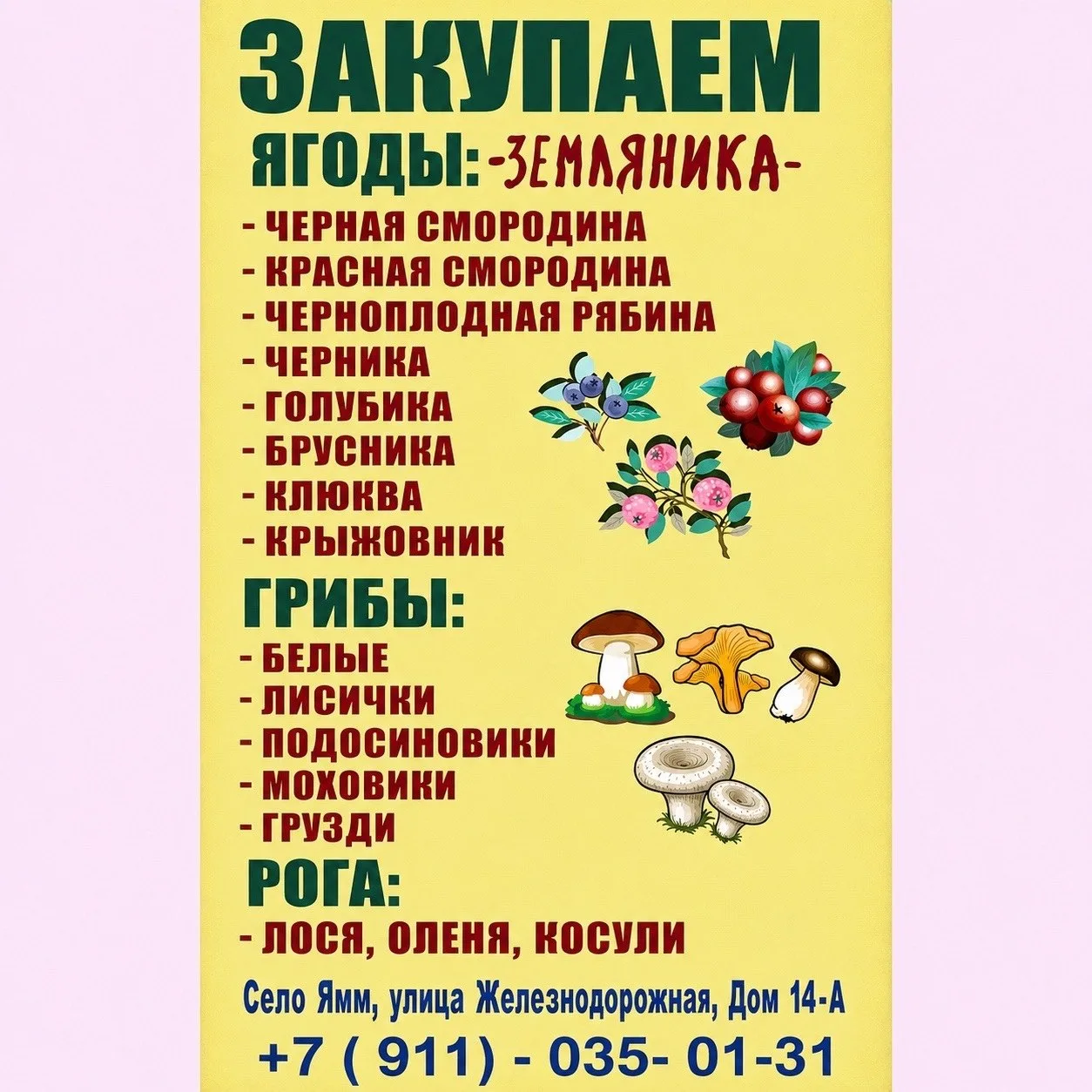 Закупаем :
Лук перья , 
Варенье и компоты из клюквы ,брусники , черники .

Цена закупки для земляник