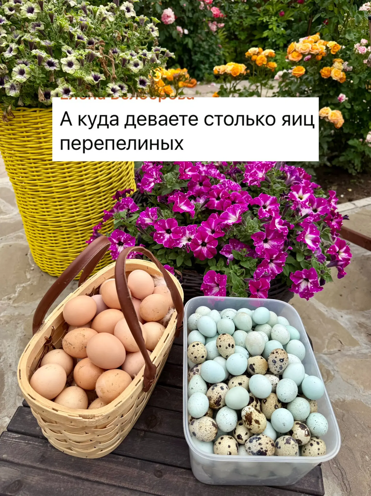 Извечный вопрос 
Куда? 😁😁😁 туда … все туда 


Собрала за 2,5 дня
Передала маме Гале, Куме и сосед