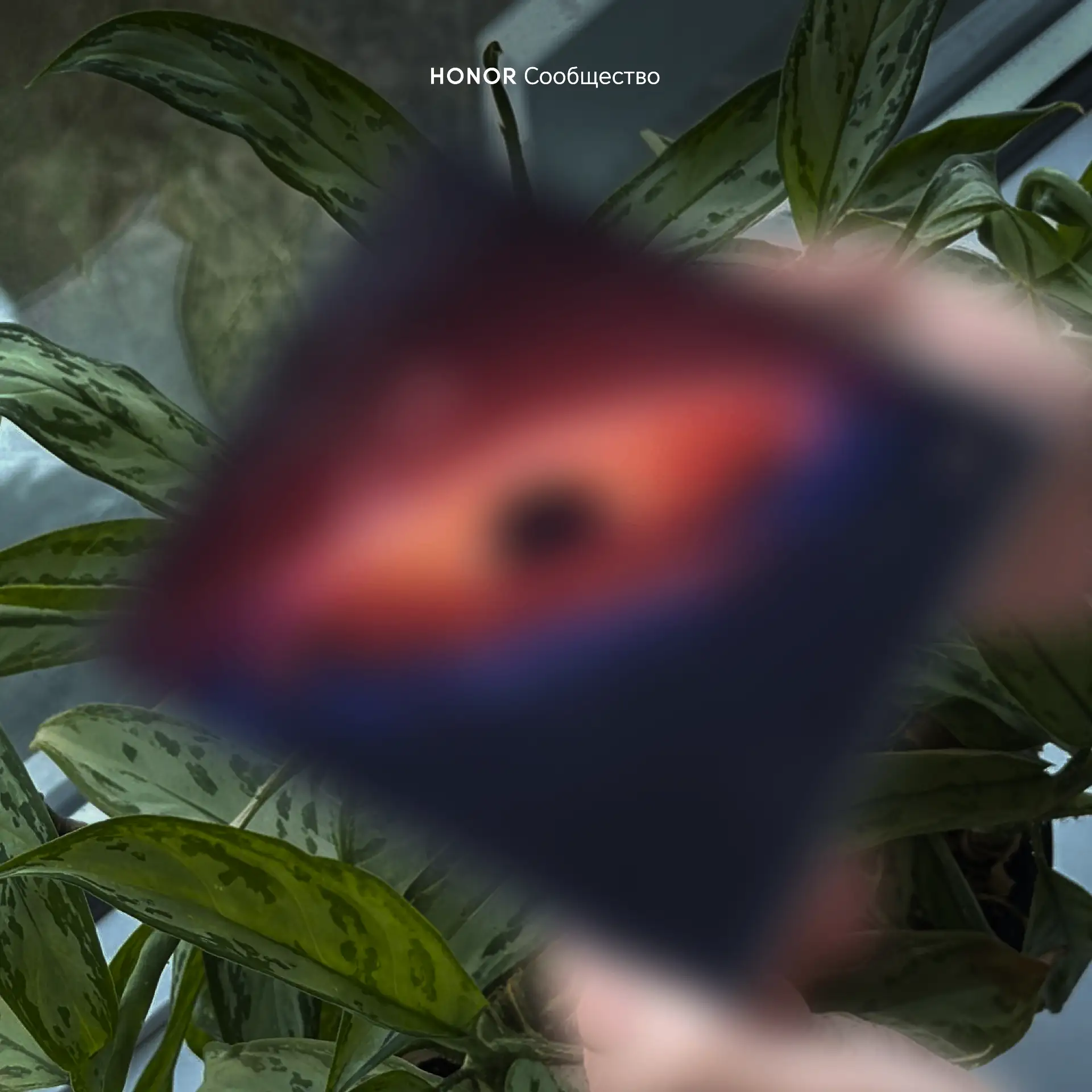 HONOR Magic V6 уже у нас 🚨

1 марта была презентована https://t.me/CommunityHONOR/1433
 foldable но