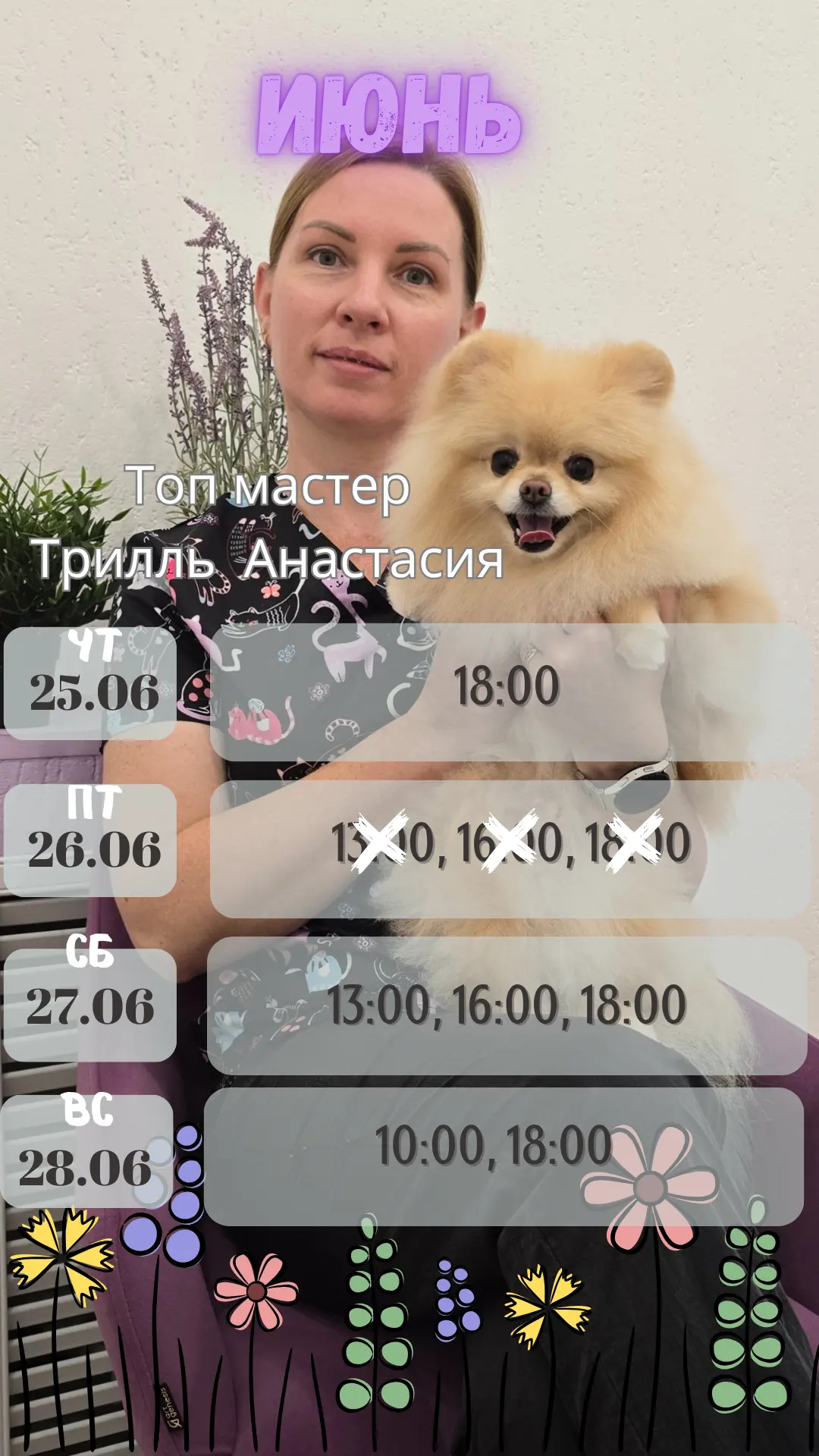 Окошки  июнь