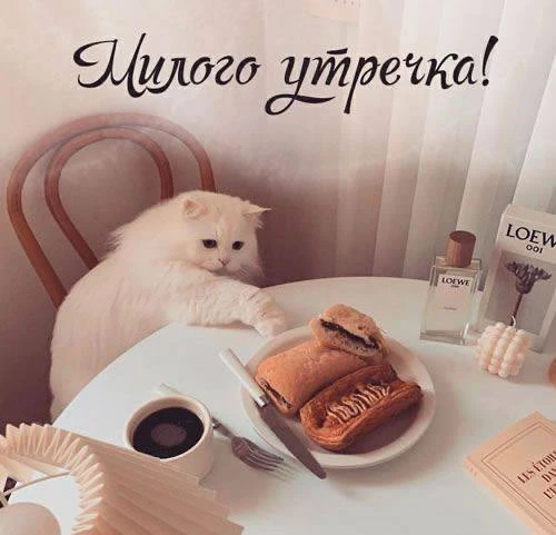 🌼 Доброе утро, друзья!

Пусть сегодняшний день станет временем приятных открытий и хороших впечатле