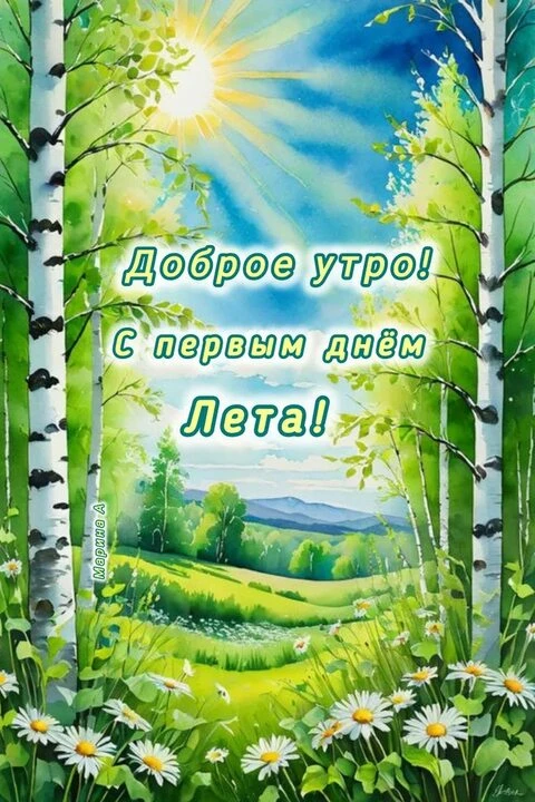 Пусть это лето станет особенным для каждого из вас, друзья 🤗