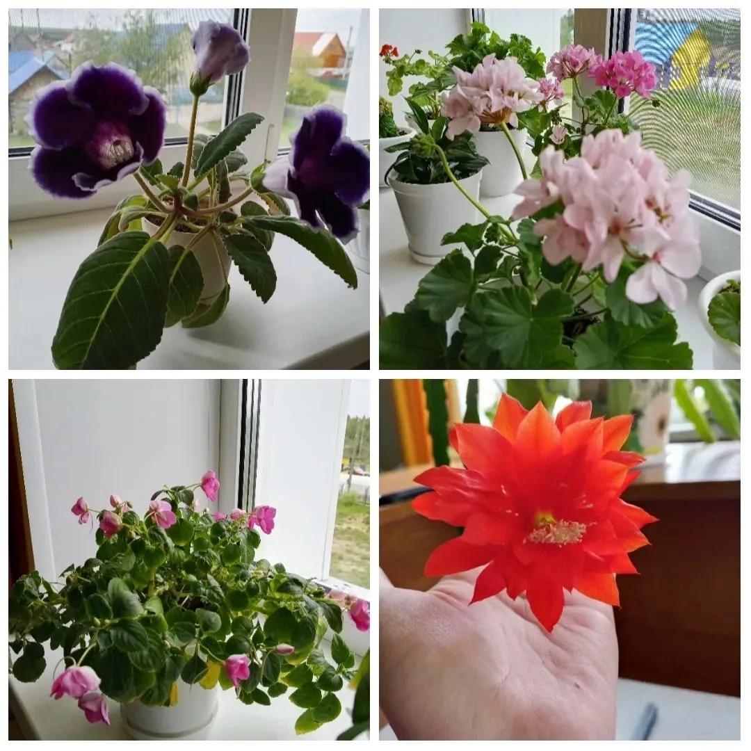 🌸 День, когда наш лагерь расцвёл! 
 
🌺 Сегодня наш лагерь прикоснулся к миру истинной красоты — у 