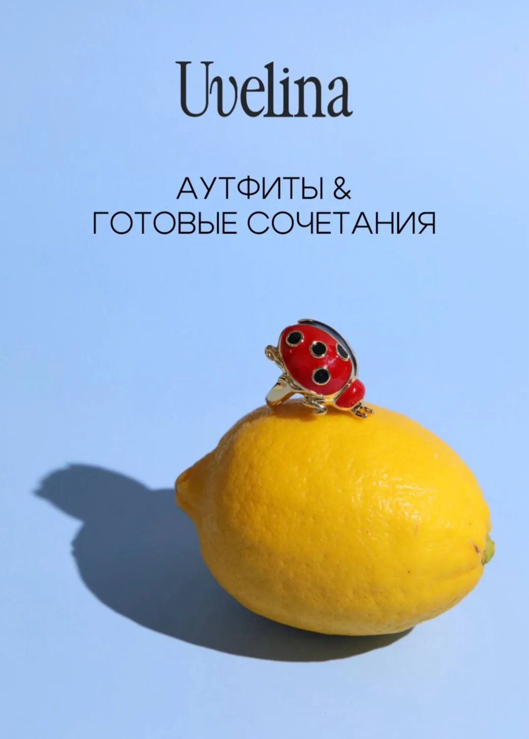 Пофантазировали, как наши божьи коровки могли бы жить в реальных образах с Pinterest — и, кажется, п