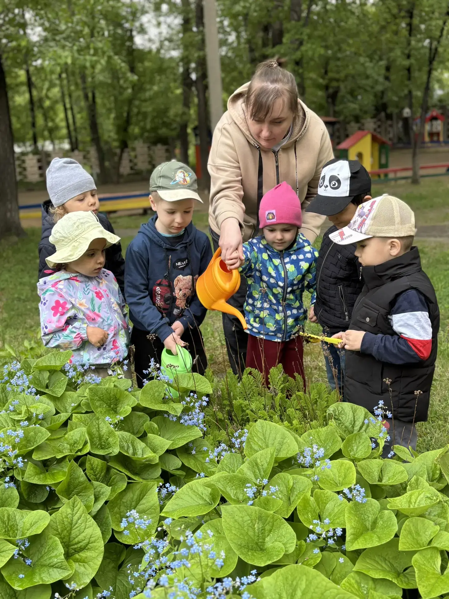 🌼 Акция «Цветущий сад»: маленькие руки - большое дело! 🌼  

Дорогие родители и друзья нашего детск