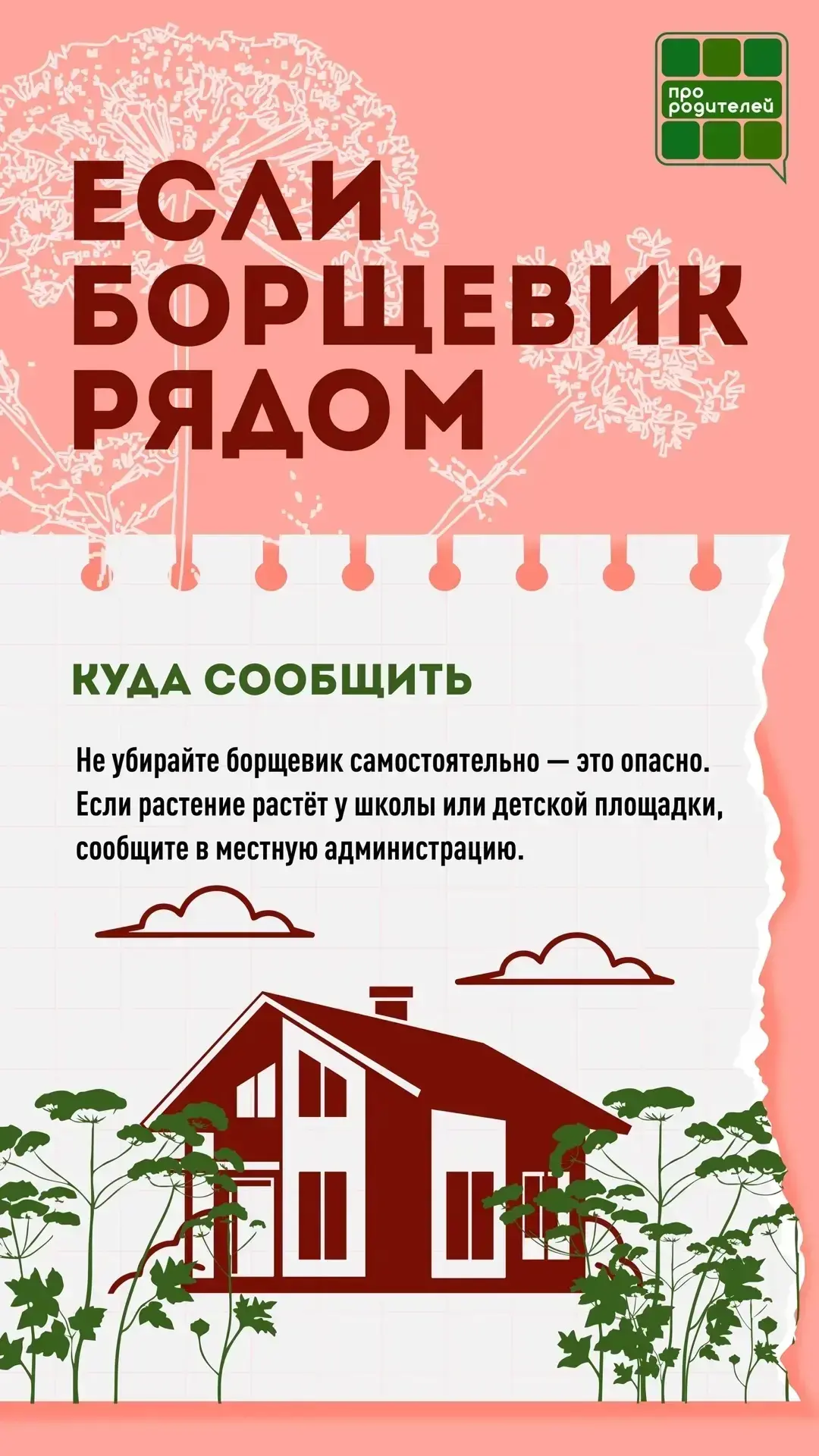 ❗️ Не обожгись: главные правила безопасности с борщевиком 
 
🏖 Лето — пора, когда дети чаще всего п