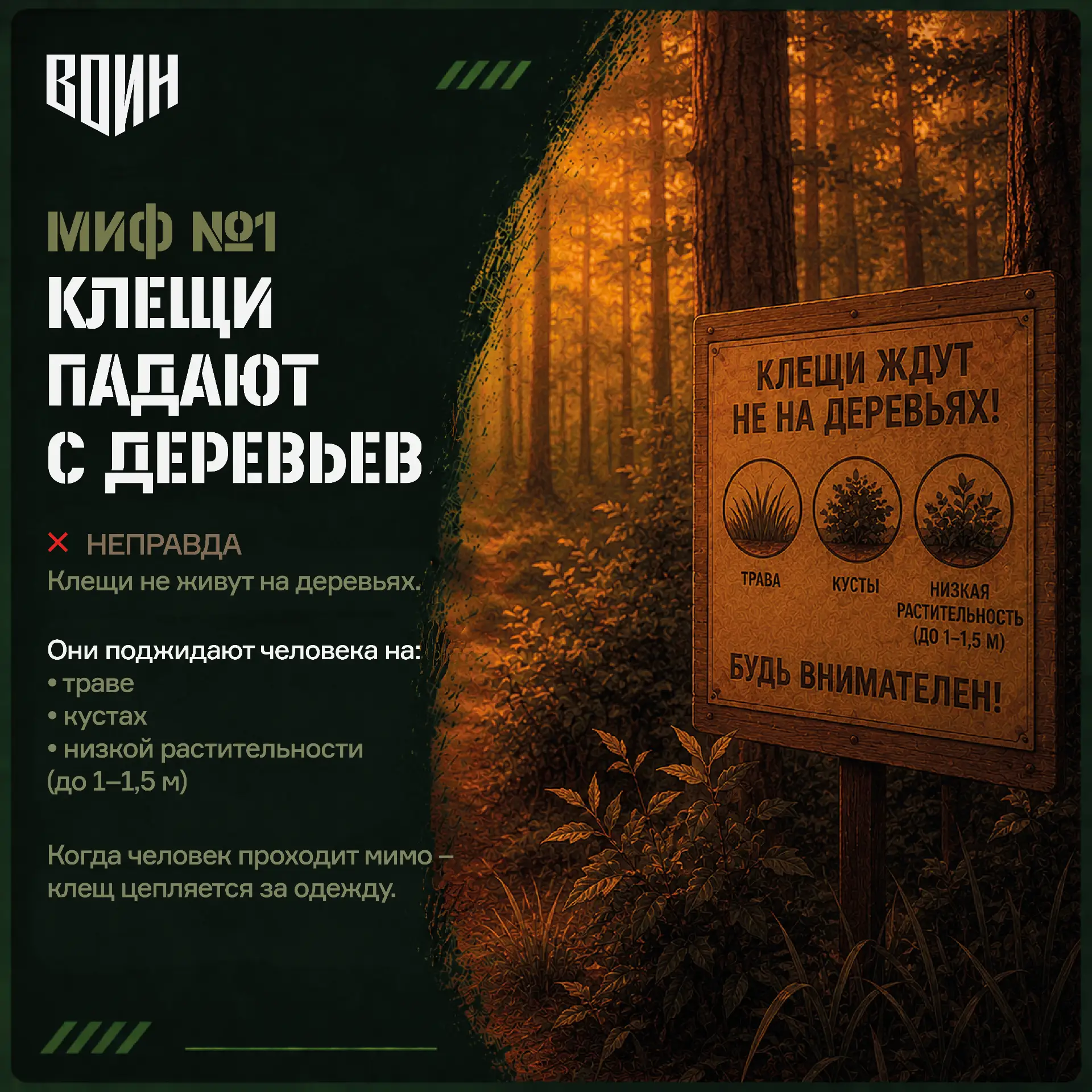 «Безопасное лето»: 10 мифов о клещах

Запускаем новую рубрику, в которой при помощи карточек просто 