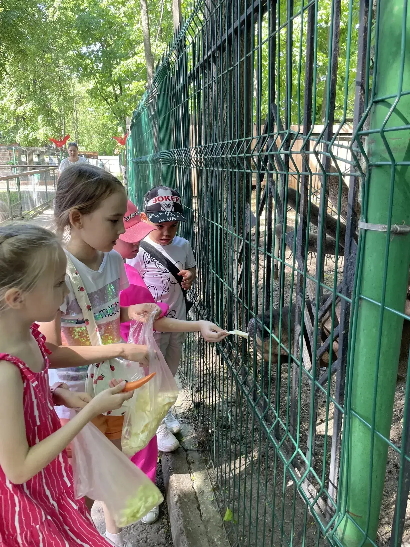 Первоклассники побывали в «Ковчеге» 🐾

Ученики 1 «В» класса весело и с пользой отметили окончание у
