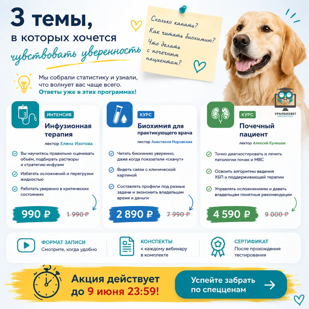 🕙 До конца акции осталось несколько часов
Иногда кажется, что для уверенности в работе нужно выучит