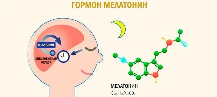Мелатонин

Мелатонин - это гормон, который вырабатывается в темноте. Добавка его просто дополняет.

