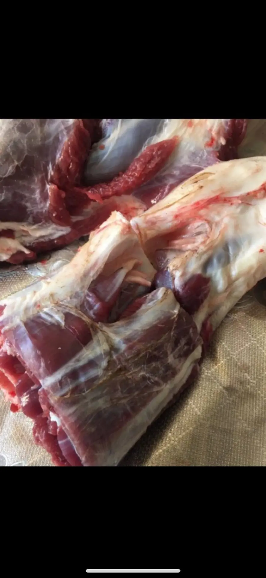Мотолвга ( мясную часть не отрубаем) 
Можно готовить и вторые и первые блюда)