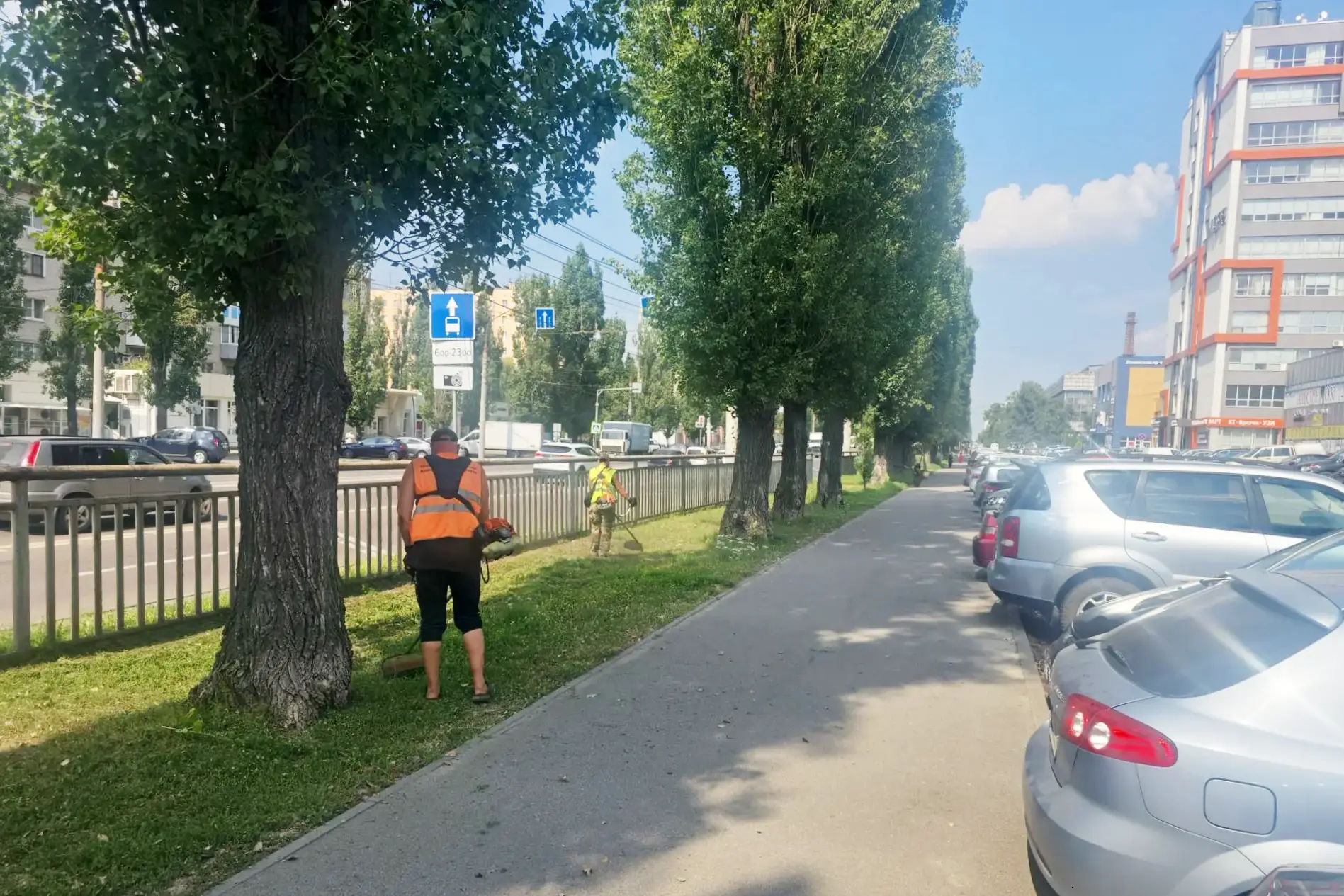 🌱 Сезонная стрижка зеленых зон продолжается

Комбинат благоустройства Железнодорожного района регул